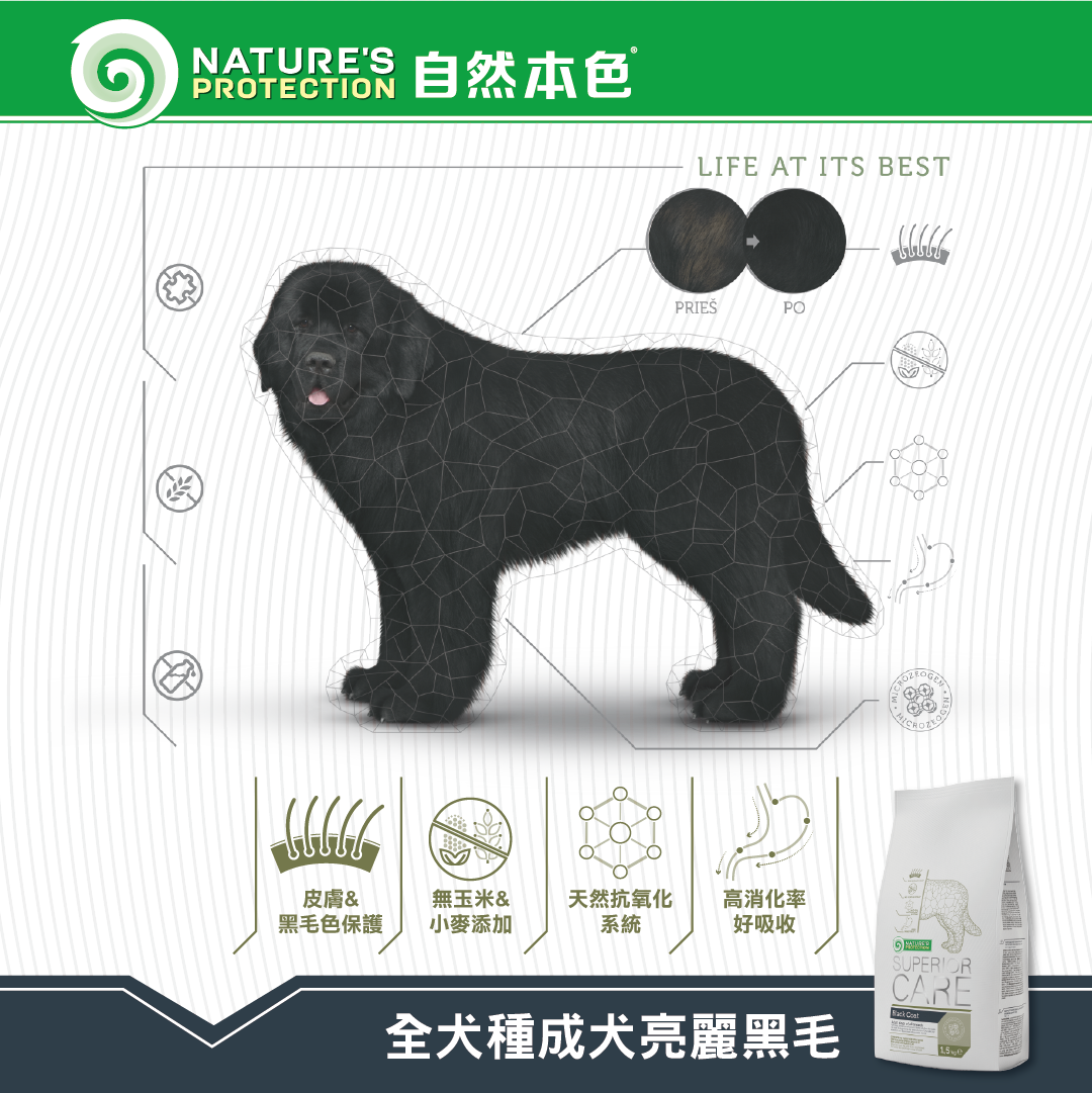 嚐鮮包優惠中 任選8件 0 自然本色 全犬種成犬亮麗黑毛配方 增加毛髮柔順 網友推薦