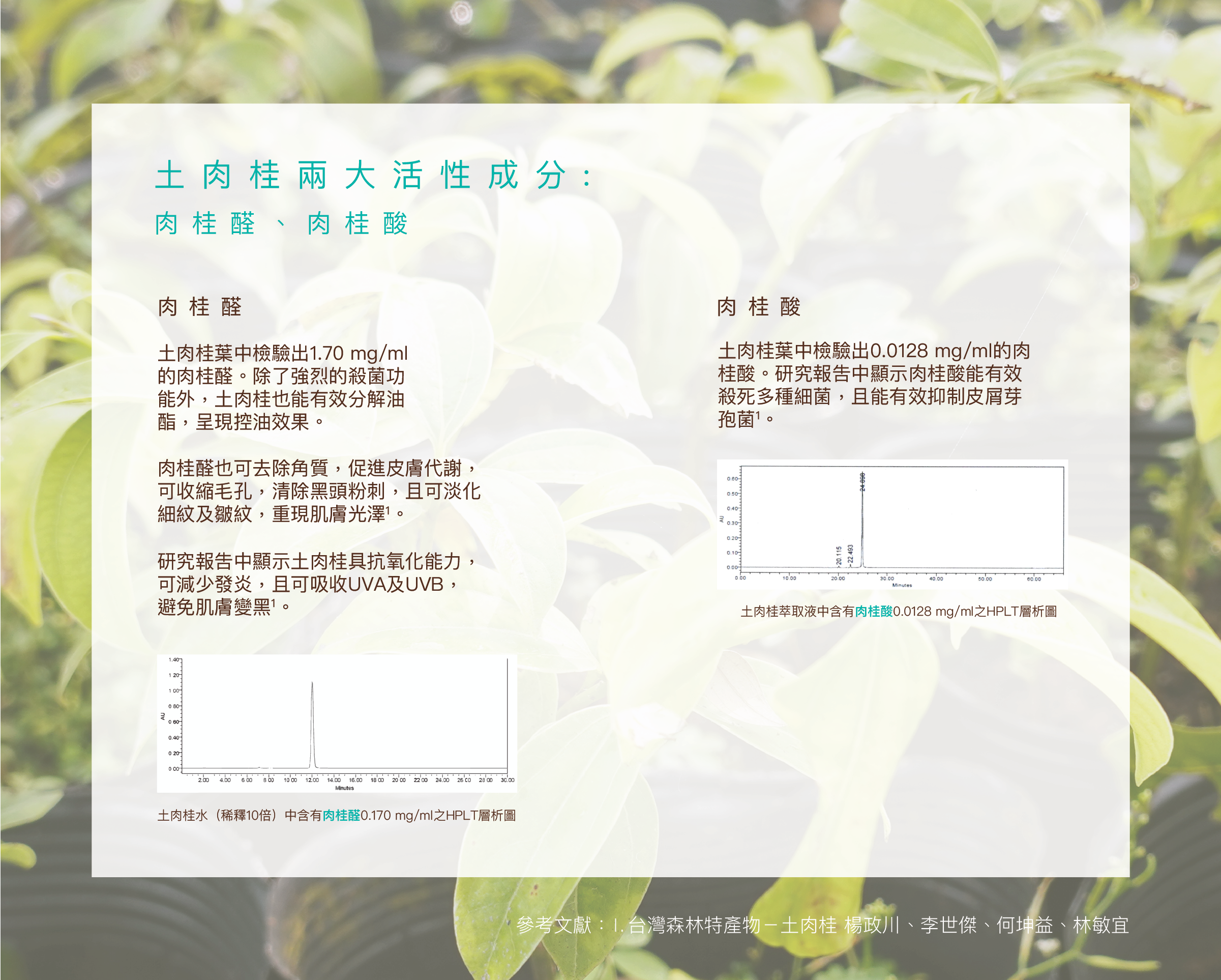 肉桂醛：土肉桂葉中檢驗出1.70 mg/ml的肉桂醛，能有效分控油、去除角質，促進皮膚代謝，收縮毛孔，清除黑頭粉刺，淡化皺紋，減少發炎，避免肌膚變黑。肉桂酸：土肉桂葉中檢驗出0.0128 mg/ml的肉桂酸能有效殺死多種細菌，且有效抑制皮屑芽孢菌。