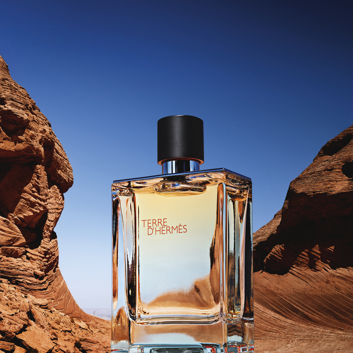 Hermes 愛馬仕 大地男性淡香水 50ml/100ml