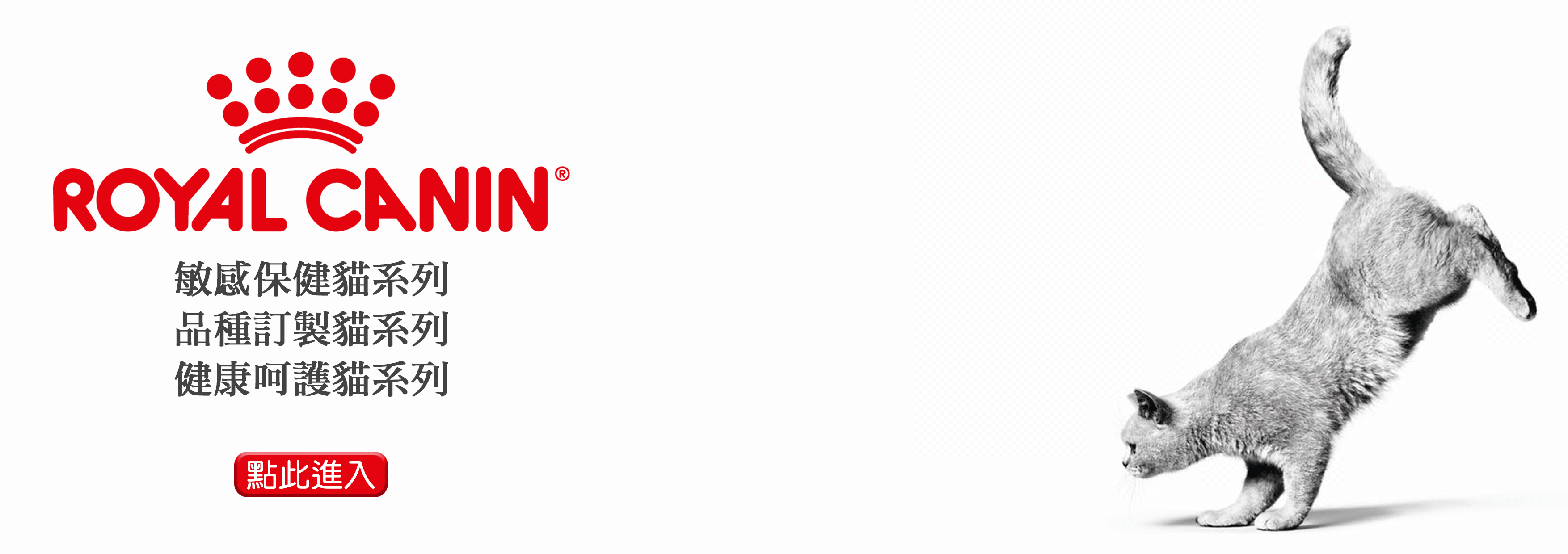 Royal Canin法國皇家/敏感保健貓系列/品種訂製貓系列/健康呵護貓系列/貓咪飼料/皇家飼料
