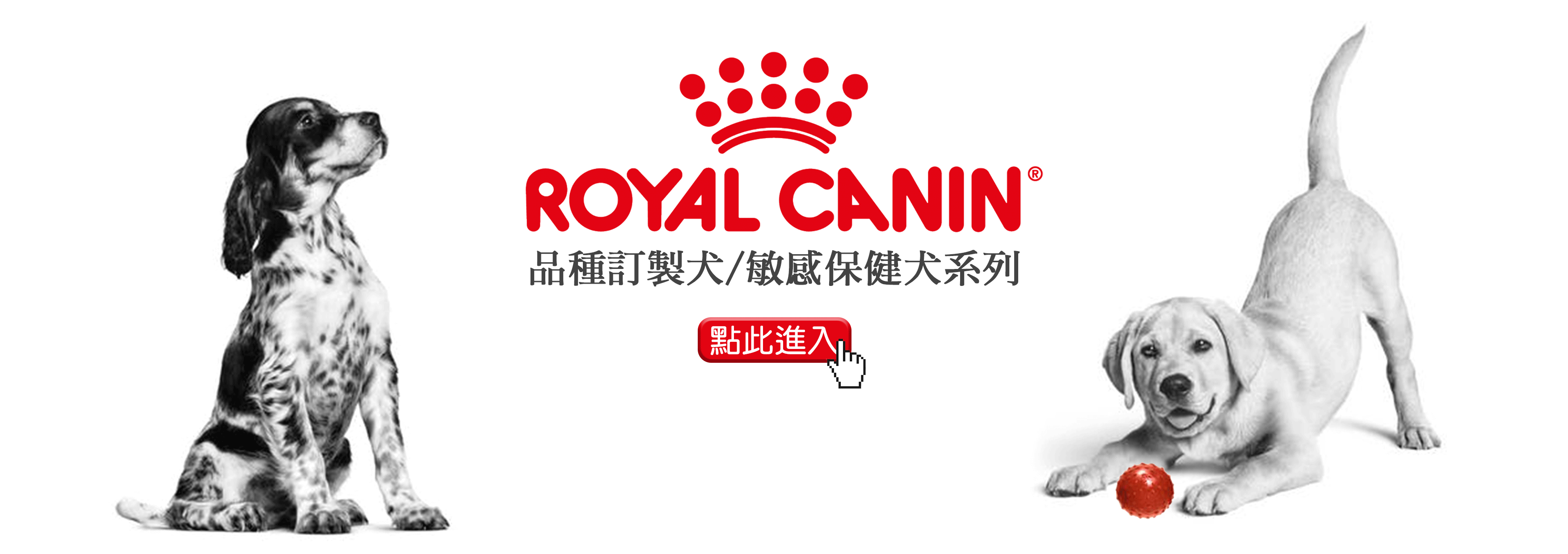 Royal Canin法國皇家狗飼料/品種訂製犬/敏感保健犬系列/狗飼料