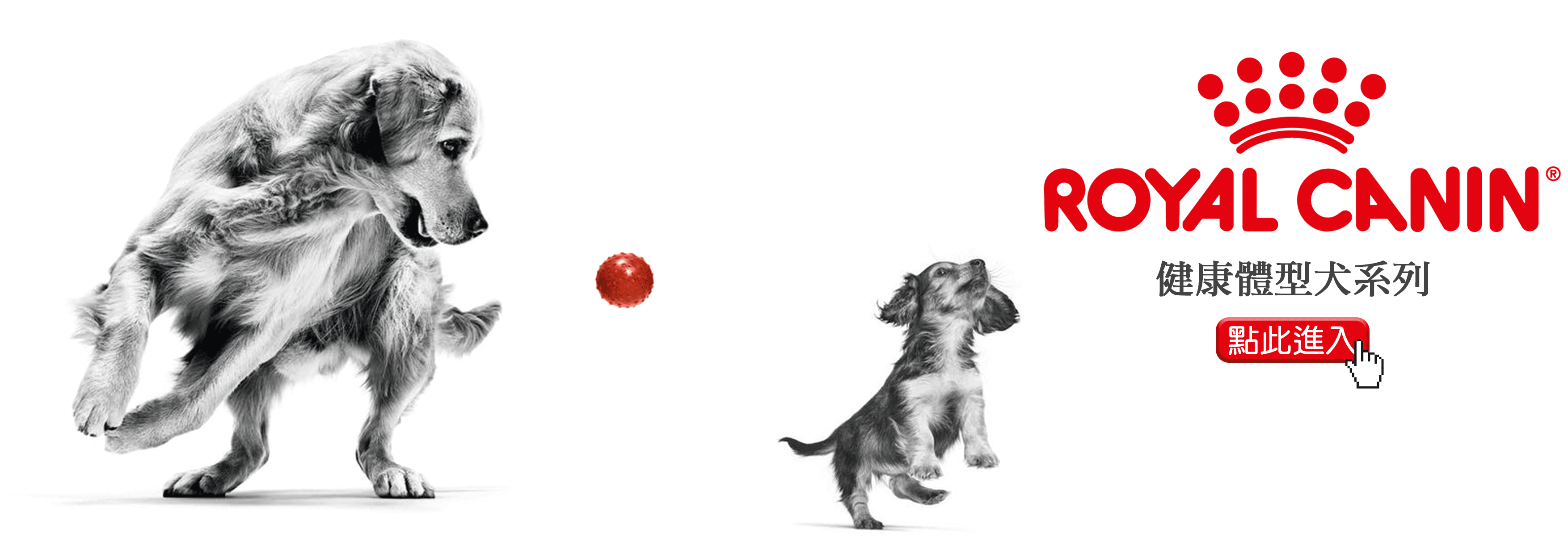 Royal Canin法國皇家狗飼料/健康體型犬系列/成犬飼料/老犬飼料/幼犬飼料