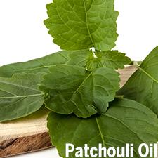 有機廣藿香精油