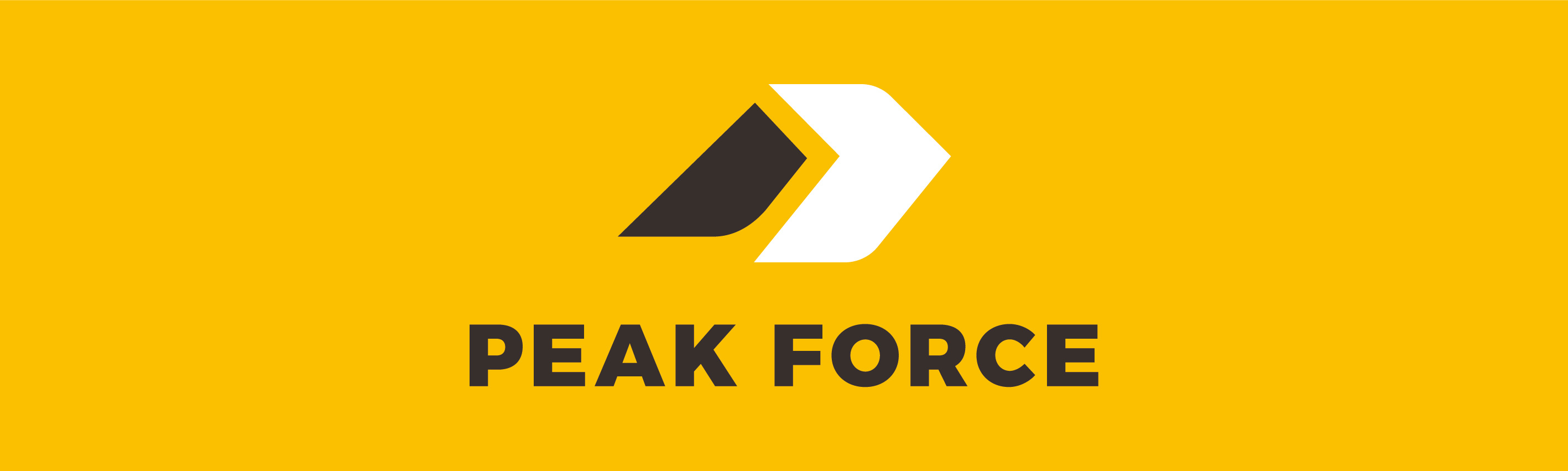 TEAM PEAKFORCE BANNER