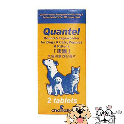 Chanelle Quantel - Round & Tapewormer for Dogs & Cats, Puppies & Kittens (2 Tablets)