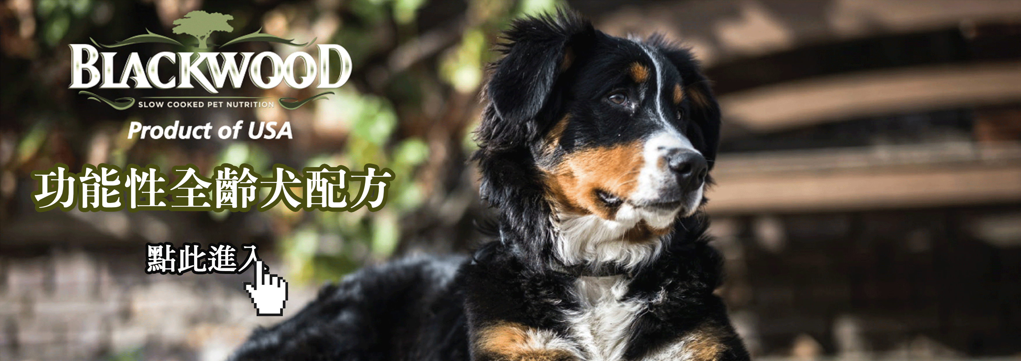 柏萊富,BLACKWOOD,柏萊富專賣店,功能性全齡犬配方,極鮮無穀系列