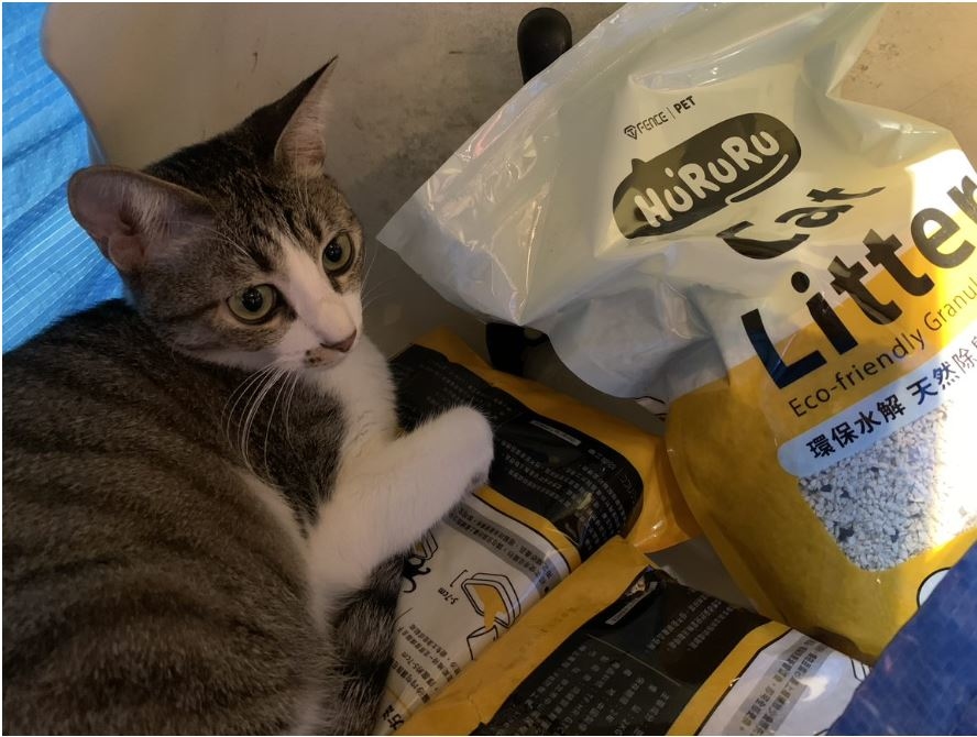 貓中途寵物餐廳，公益贊助