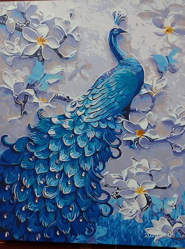 【DT109】幸運女神