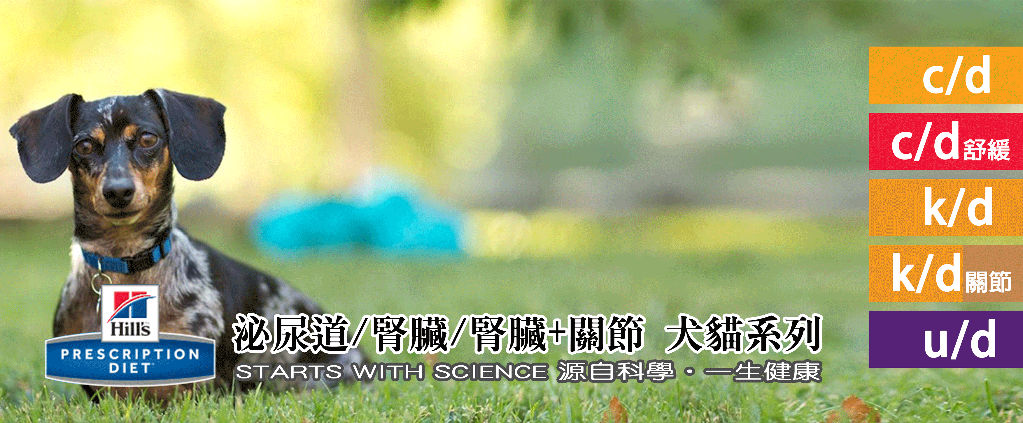 希爾思處方飼料