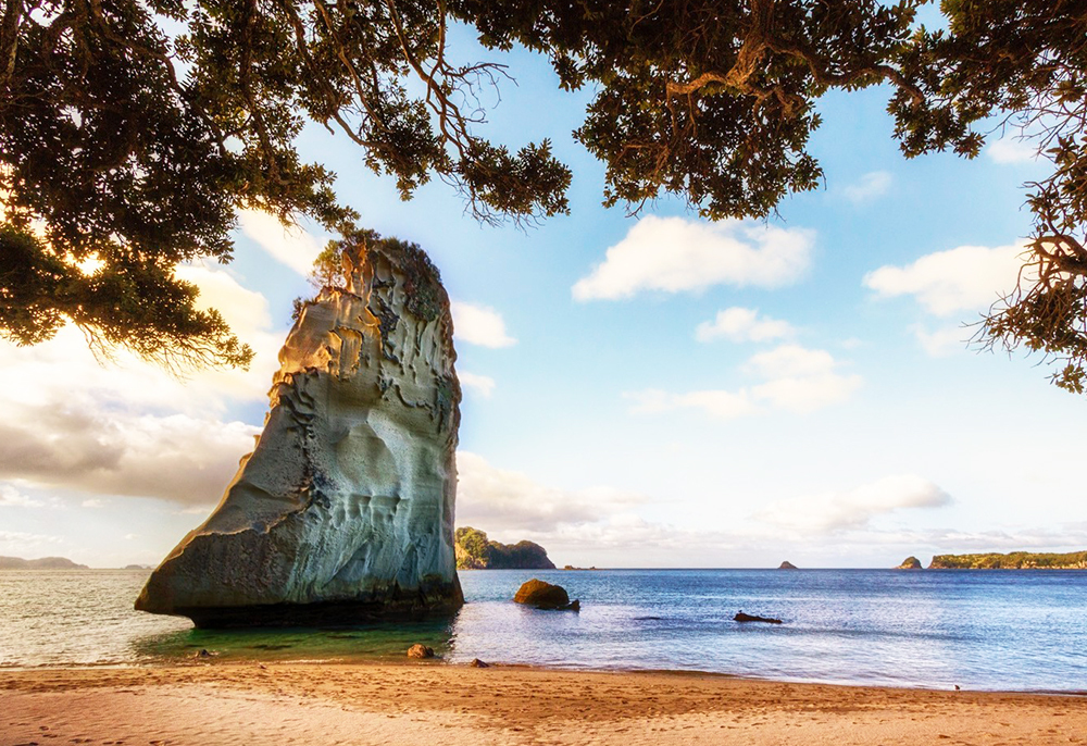 紐西蘭北島毛利文化與溫泉8日