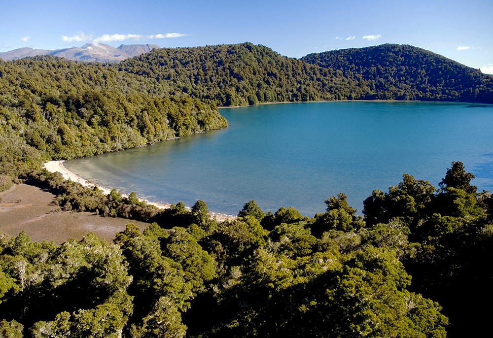 紐西蘭國家公園8日