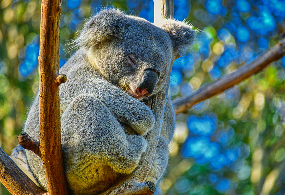 西澳珀斯7日之旅