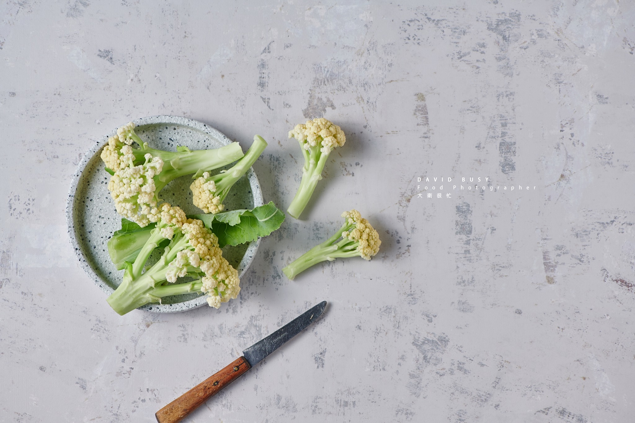 攝影師|御用背景底布|-經典款 【一包三款】