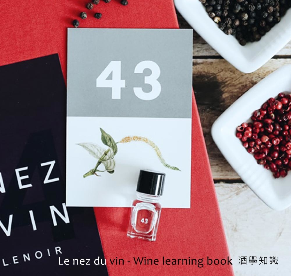 Le Nez du Vin books and kit to learn how to identify the wines aromas