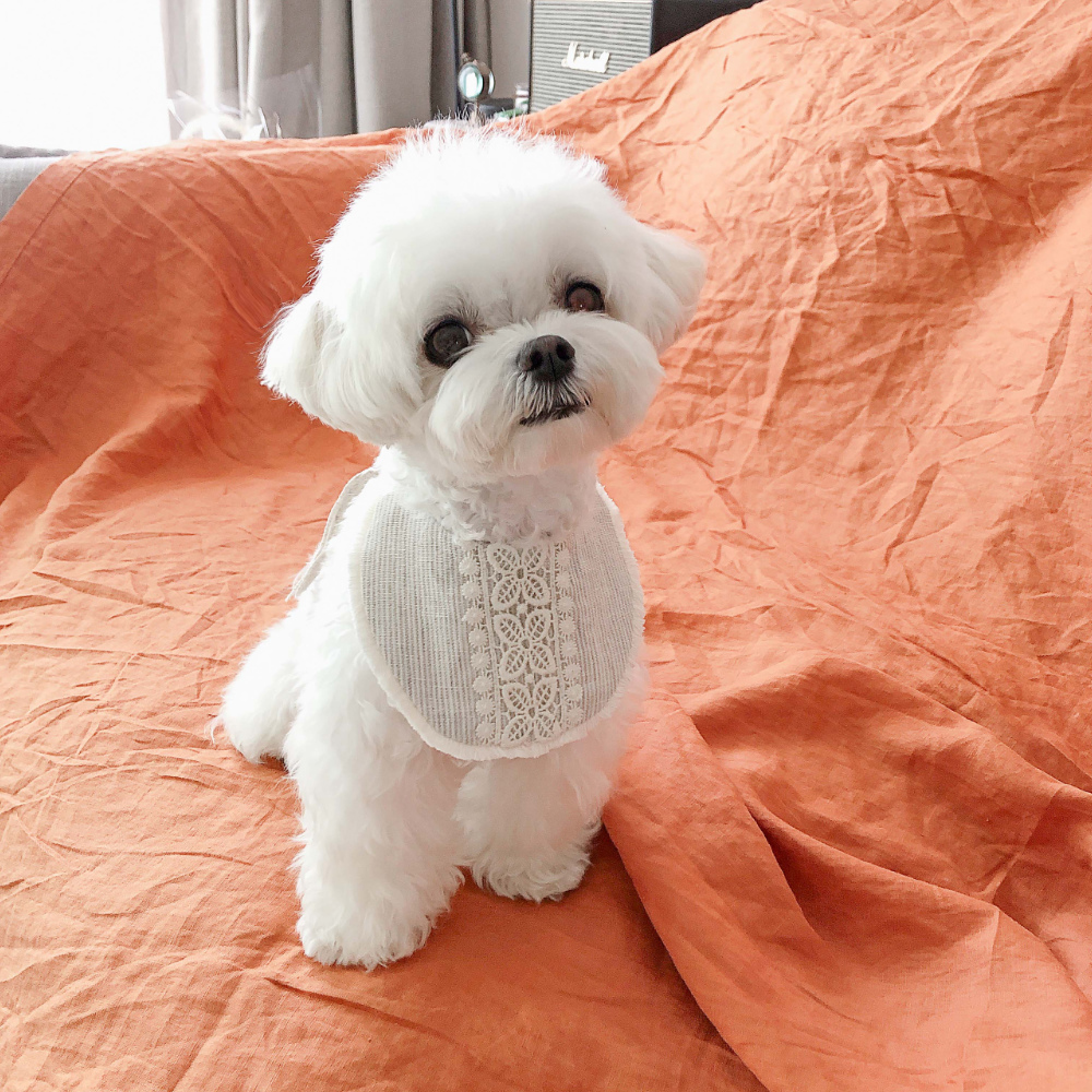 EYOU 蕾絲圍兜兜