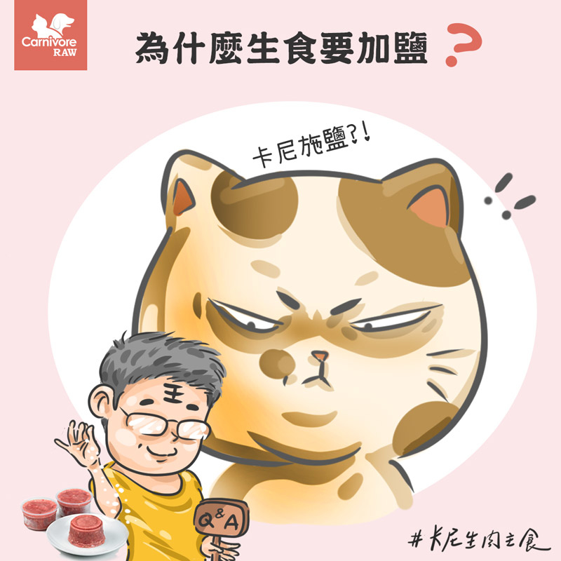 寵物營養：生肉餐為何加鹽 貓狗吃到鹽 貓狗能不能吃鹽
