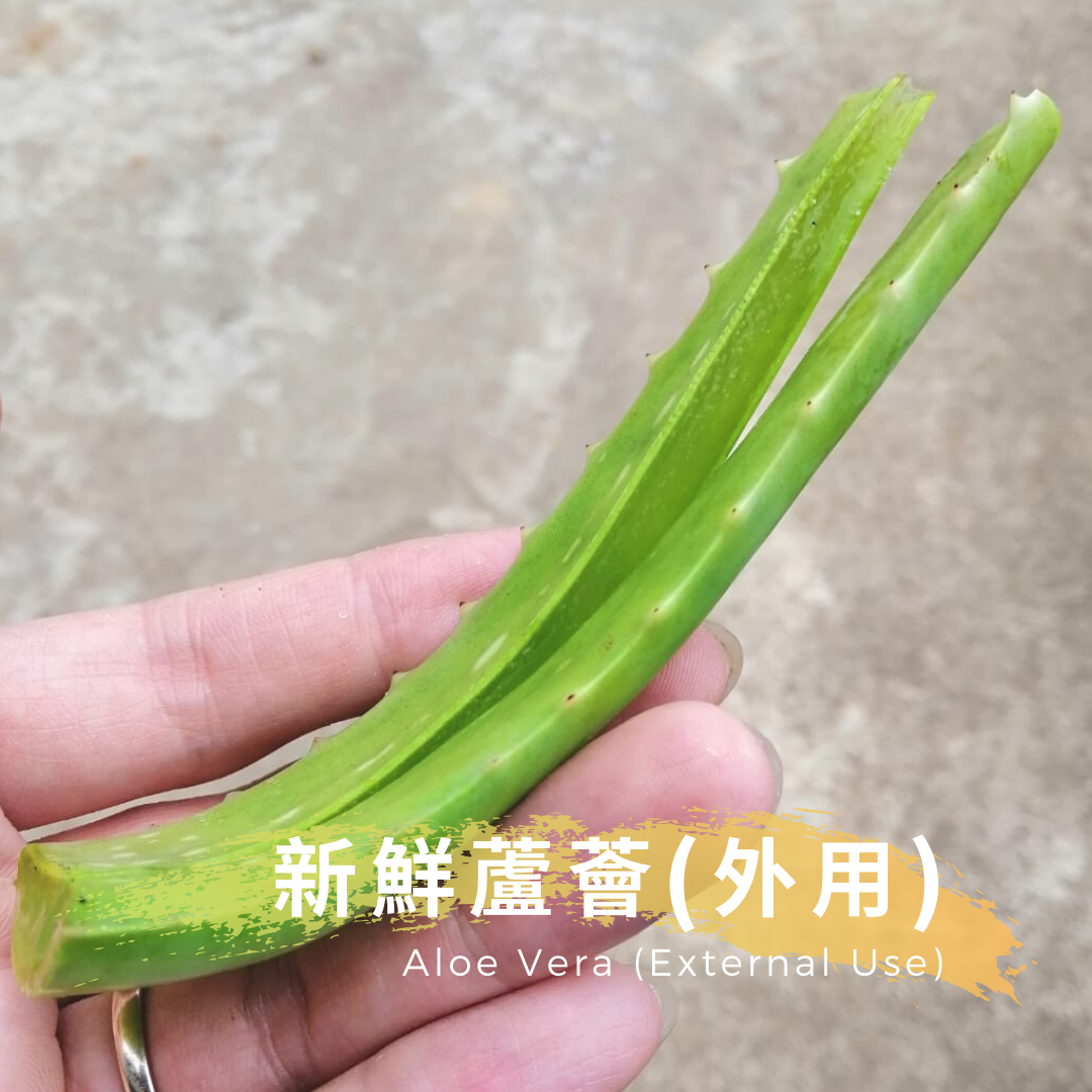 crème propolis aloe vera FOREVER ALOE PROPOLIS CREME SKIN NOURISHMENT WITH ALOE VERA AND BEE PR —  Little Luxury main image 0