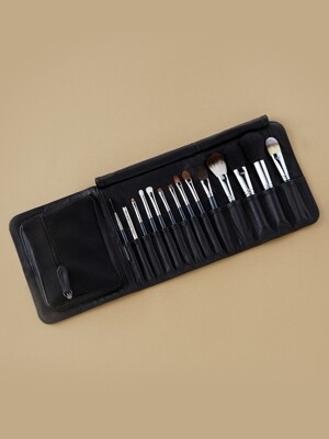 PICCASSO Professional Black 14 Types Makeup Brush Set