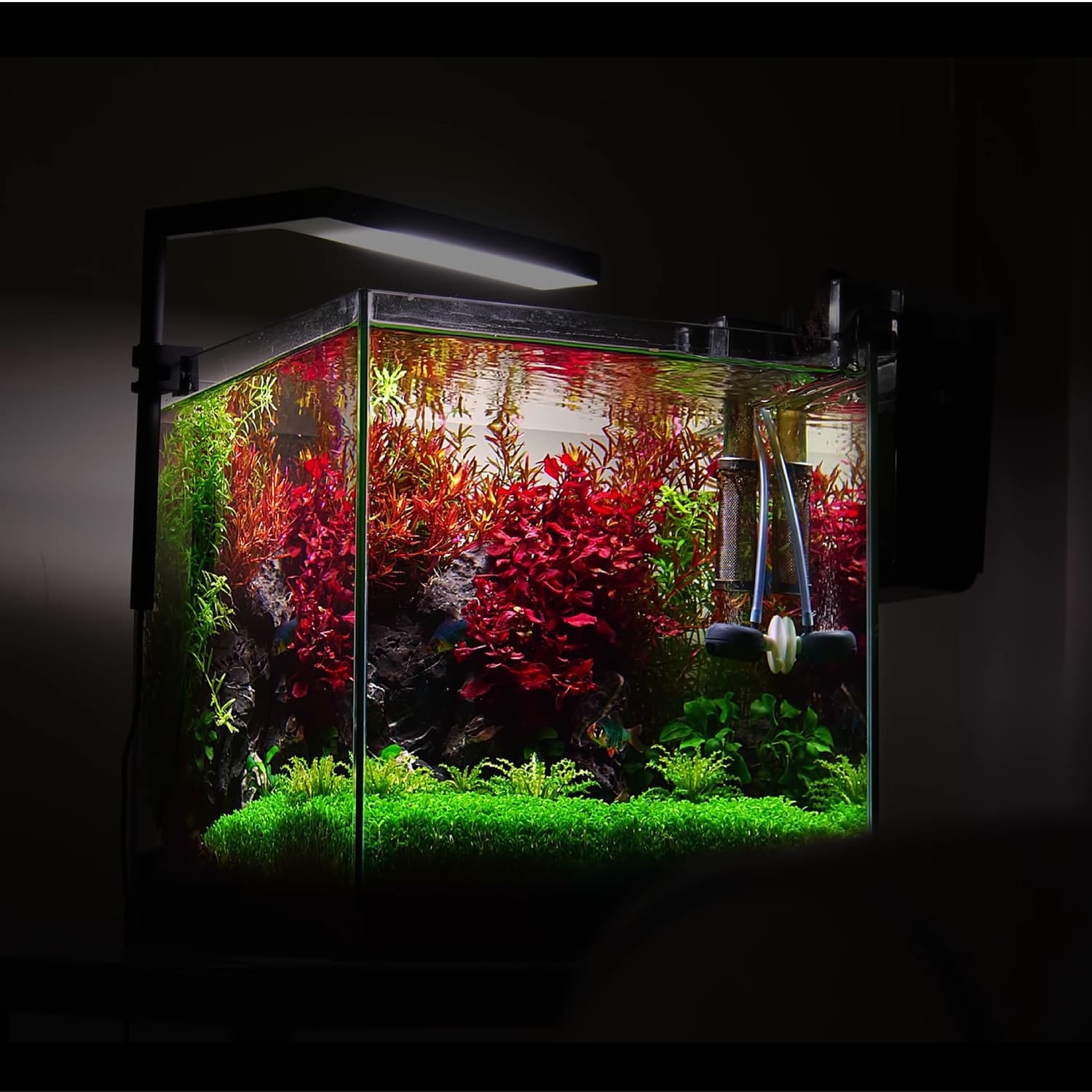 FLAT NANO+ 智慧水陸植物培育燈具（app控制）