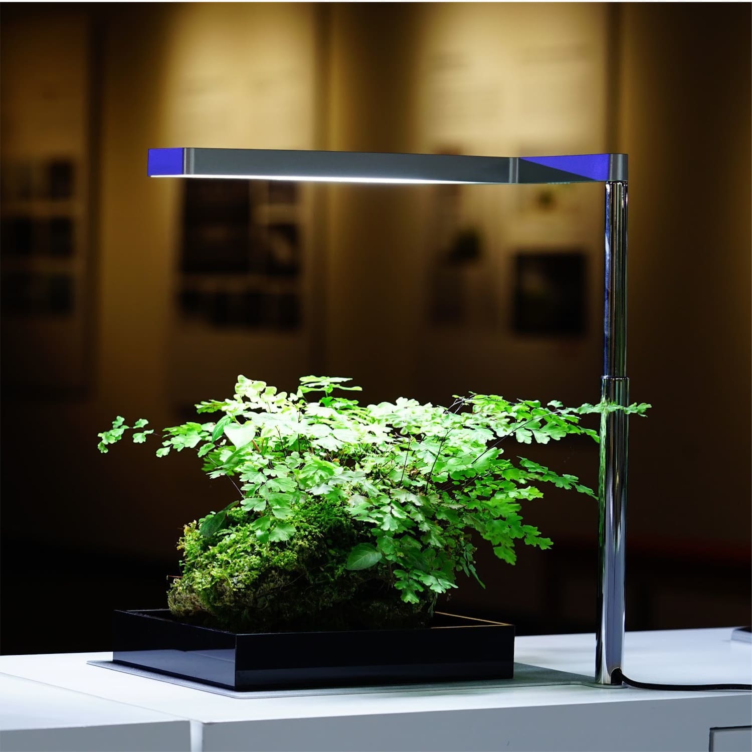 Flat Nano | The desktop plant lighting (Silver)