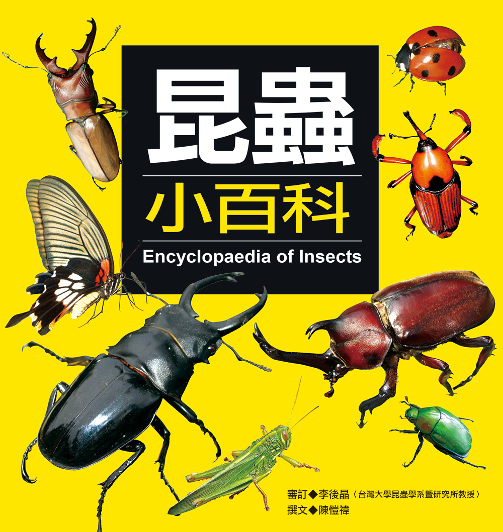 「百蟲畫 一名蠕蠕集」彩色木版刷り 山本復一著 1冊|和本 昆虫 百虫画 大套昆虫葡萄酒宠物在房子里臭虫甲虫蝎子蜗牛，鞭子蜘蛛，蠕虫