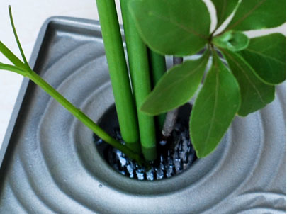 日本自由花花器