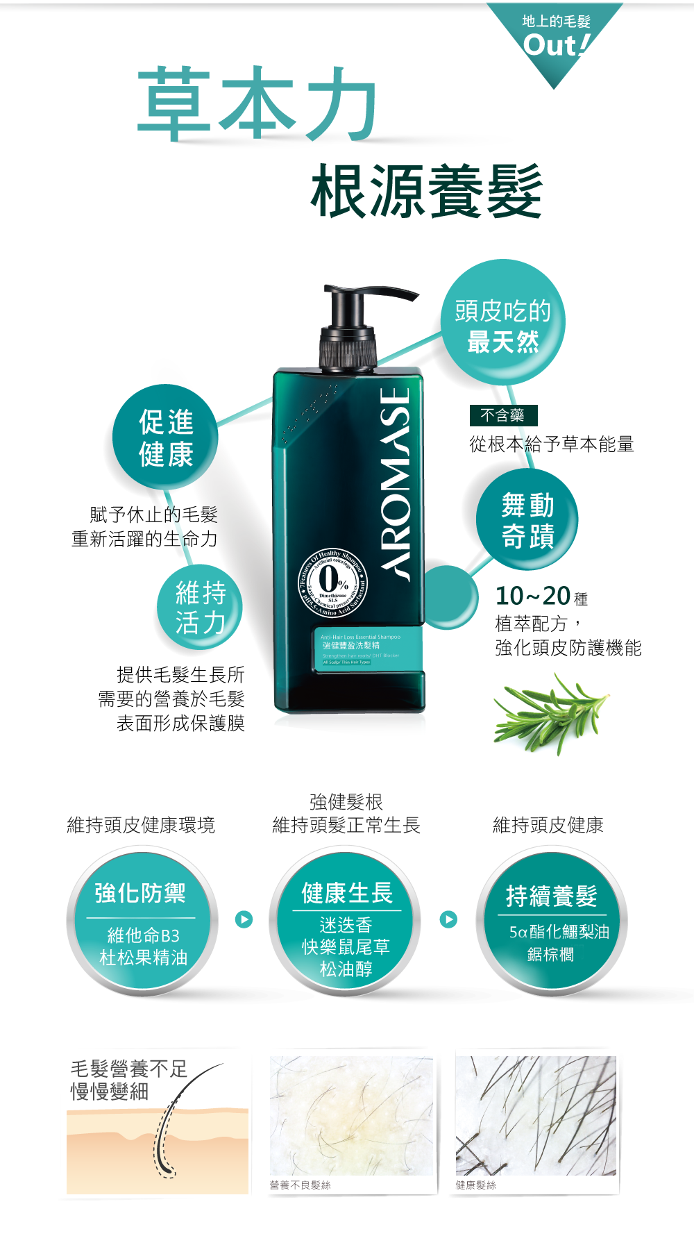 艾瑪絲強健豐盈洗髮精成分