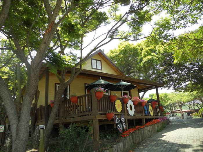 【苗栗】飛牛牧場