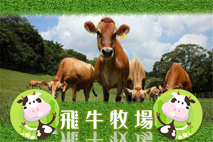 【苗栗】飛牛牧場