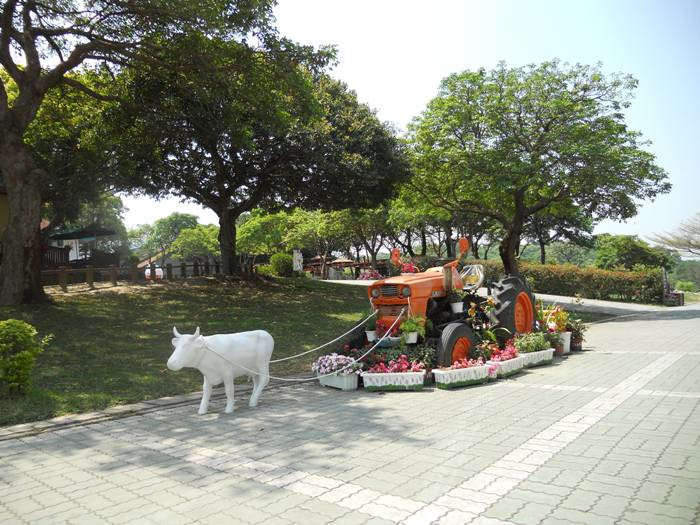 【苗栗】飛牛牧場