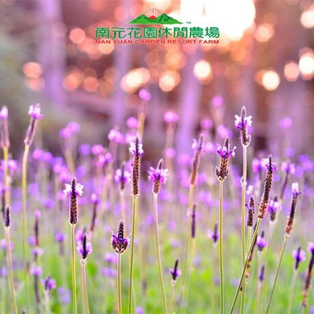 【台南】南元休閒農場 門票