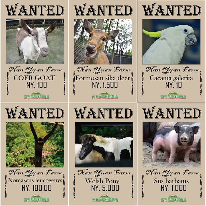 【台南】南元休閒農場 園區動物