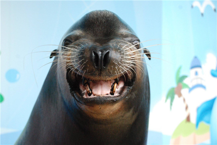 花蓮遠雄海洋公園微笑