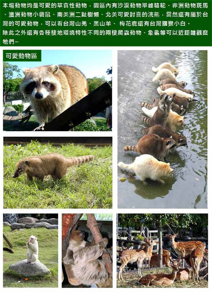 兆豐休閒農場 可愛動物區