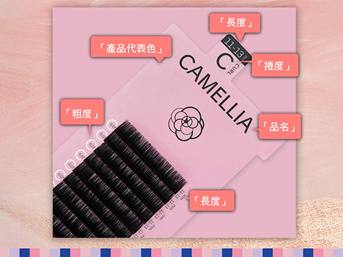 山茶花睫毛開花方式