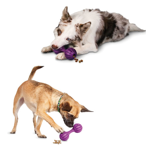 狗仔啞鈴｜PetSafe