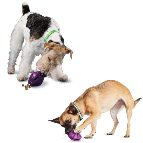 戰鬥飛碟｜PetSafe