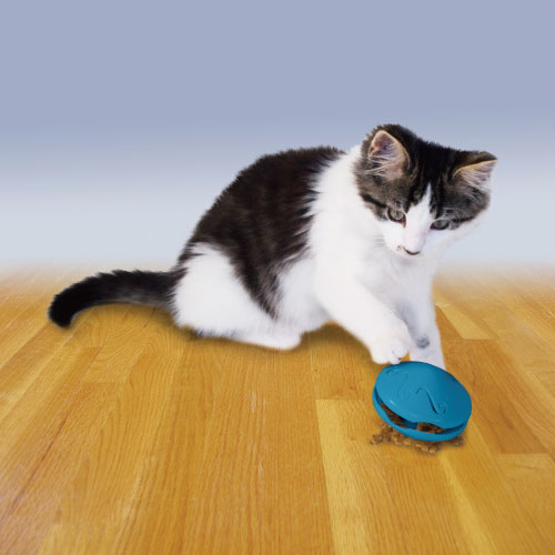 貓咪戰鬥飛碟｜PetSafe