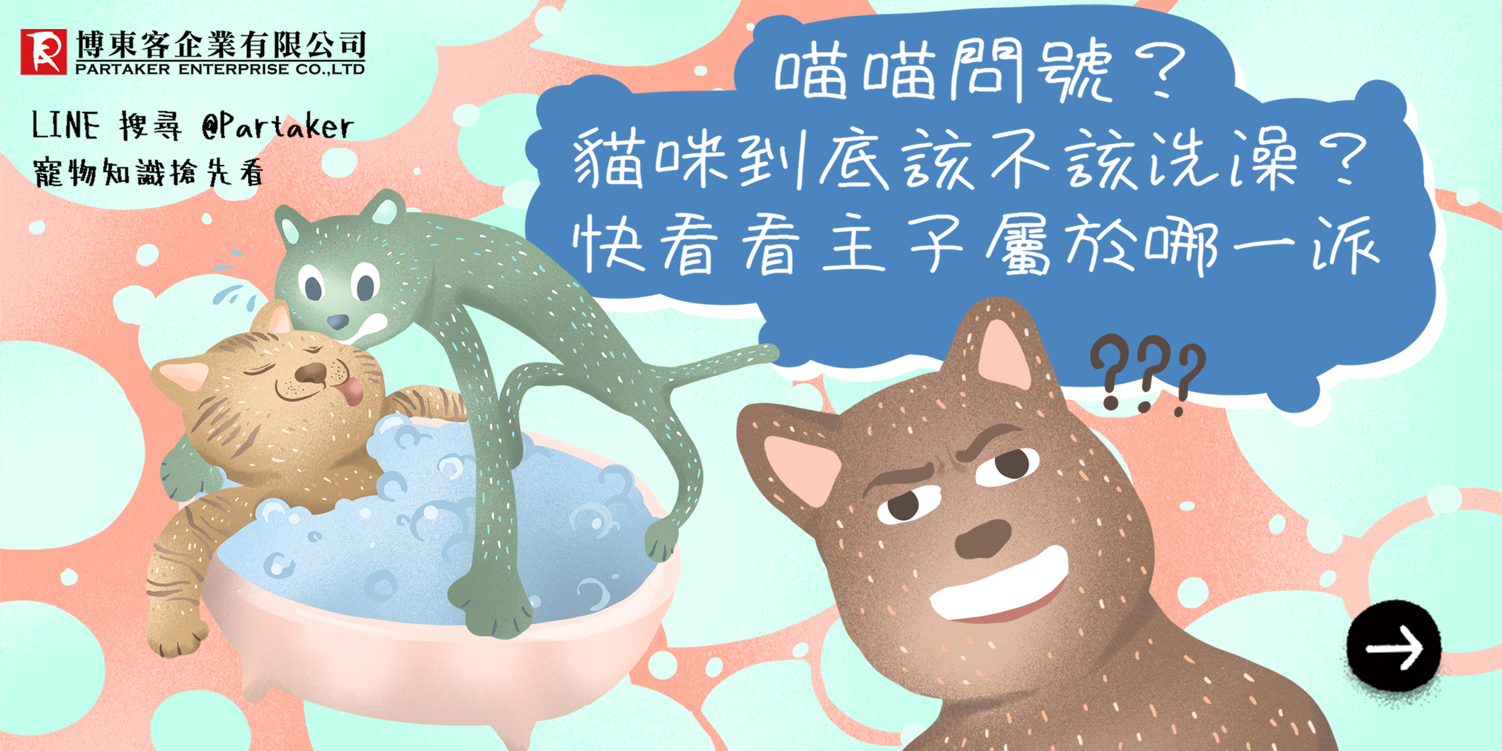 喵喵問號？貓咪到底該不該洗澡？快看看主子屬於哪一派