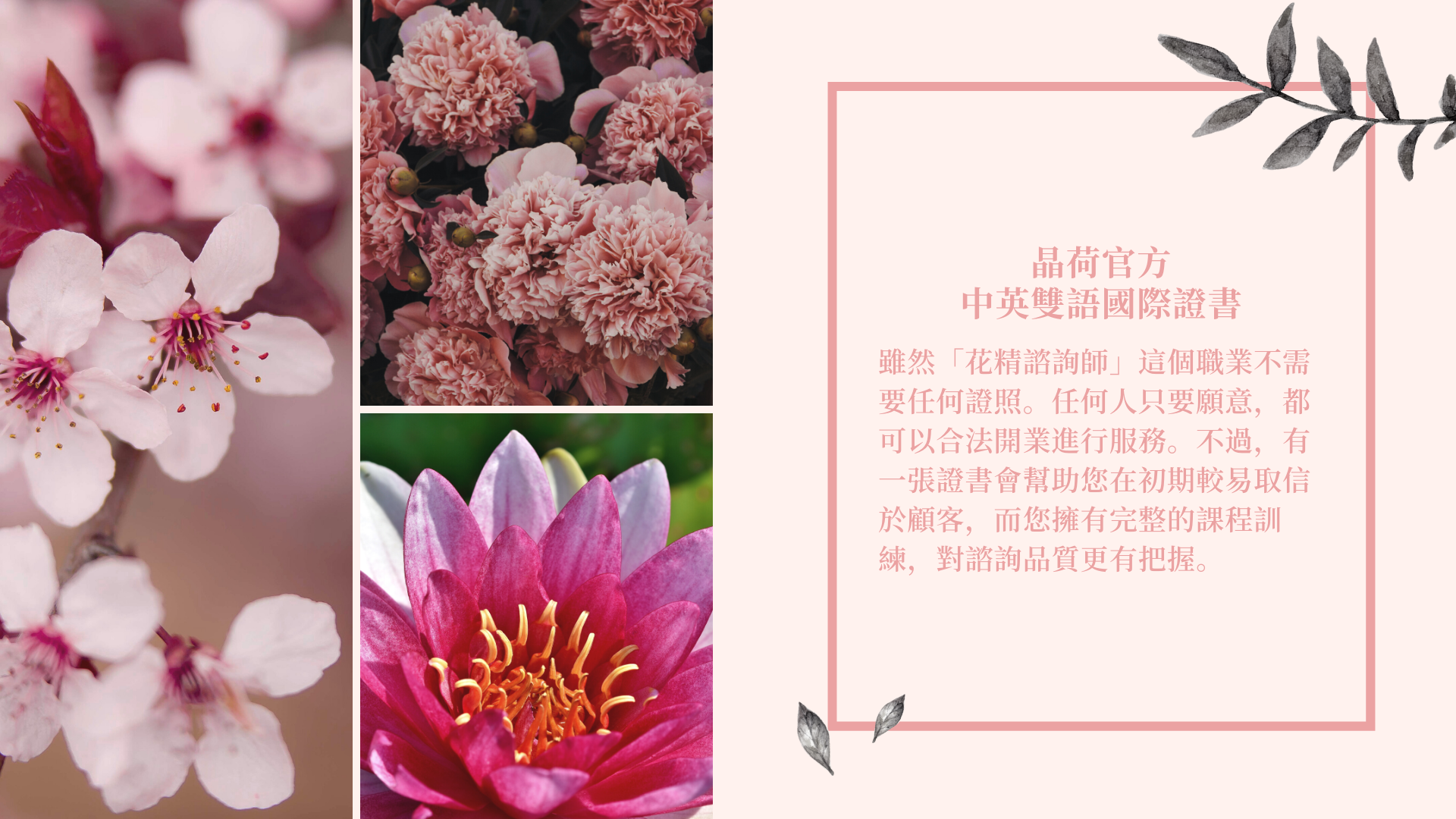 巴赫巴哈花精認證課程結業證書