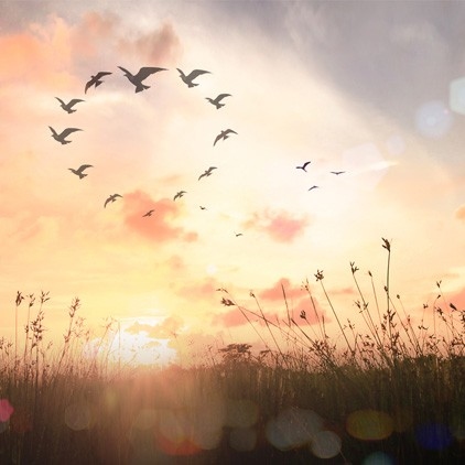 創造顯化的第一堂課-賽斯