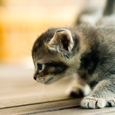 賽斯當下練習課