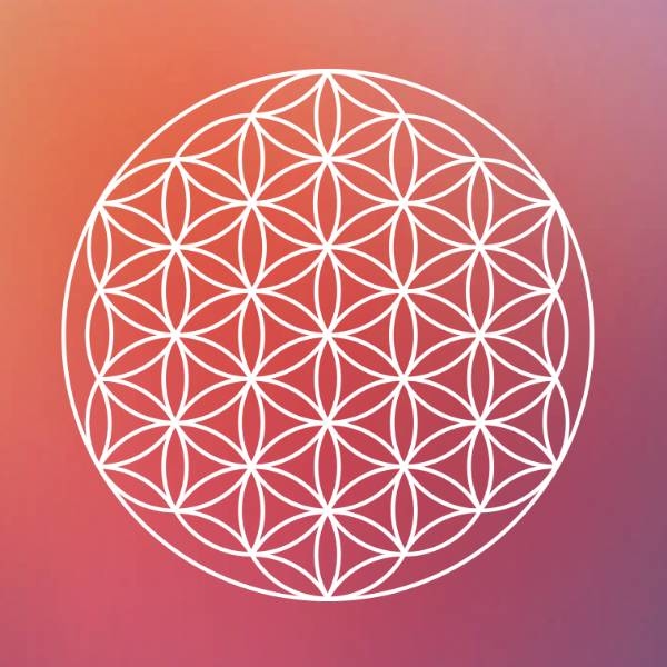 通靈大哉問-清風老師