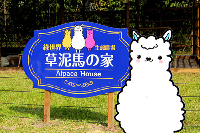 綠世界 草泥馬的家