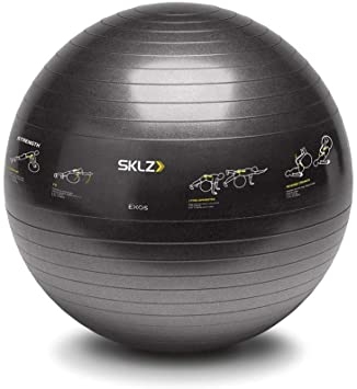 SKLZ TRAINER BALL 65 cm 健身球