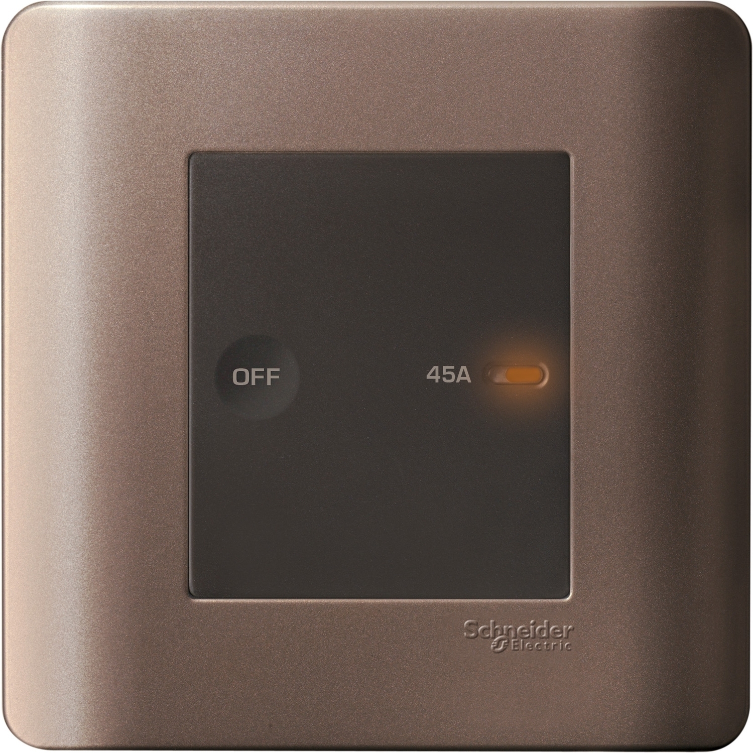 施耐德 E8000 睿雅 45A 單位平觸雙極開關掣連指示燈 E8431D45