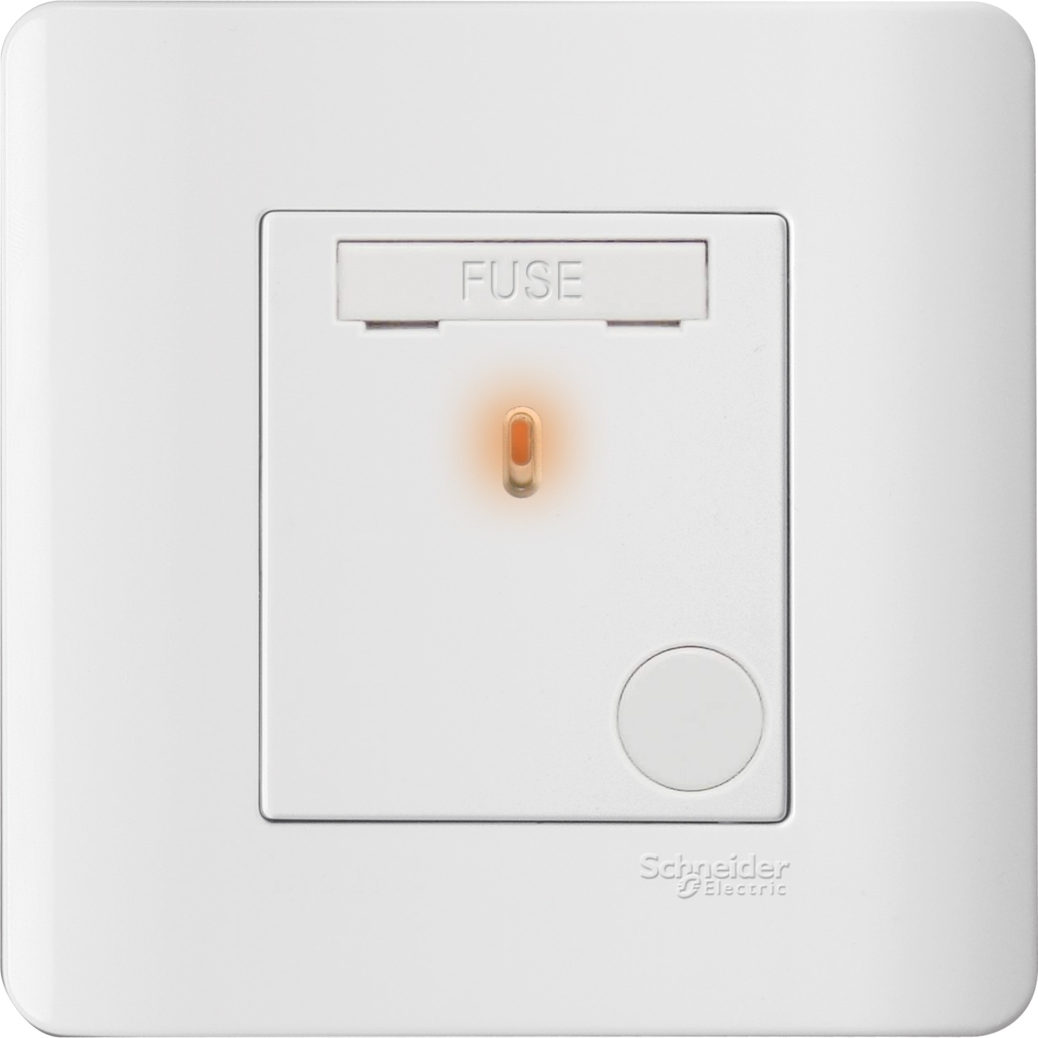 施耐德 E8000 睿雅 13A 單位保險菲士蘇連指示燈 E8430FSGN