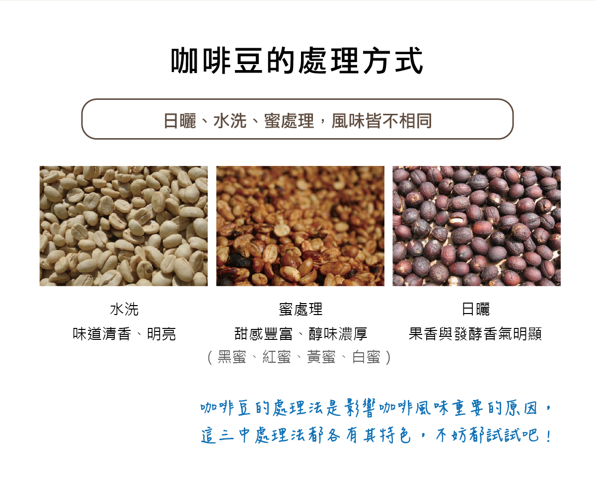 暖窩咖啡 咖啡豆的處理方式 水洗,日曬,蜜處理,特殊處理法