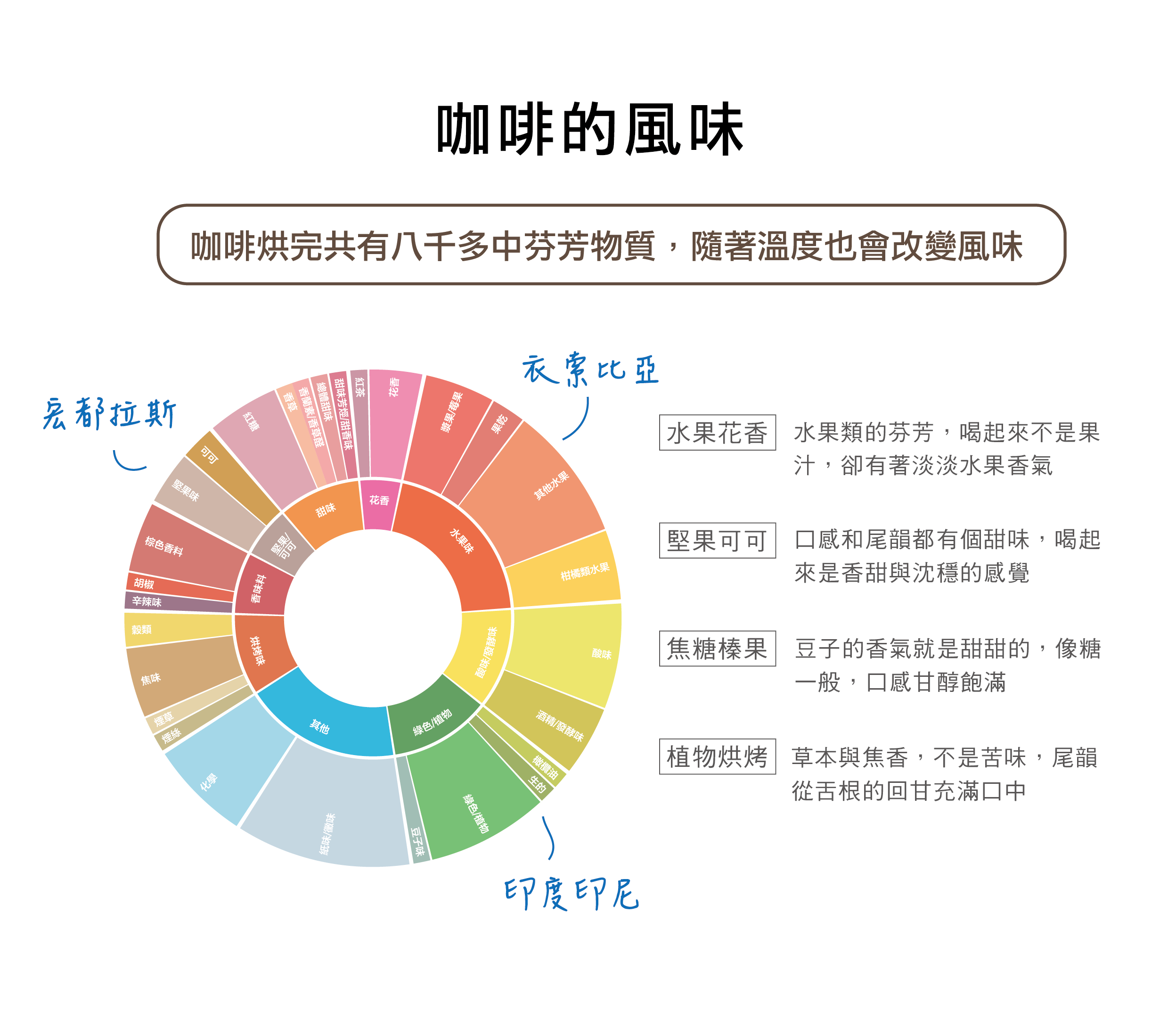 暖窩咖啡  咖啡的風味輪盤