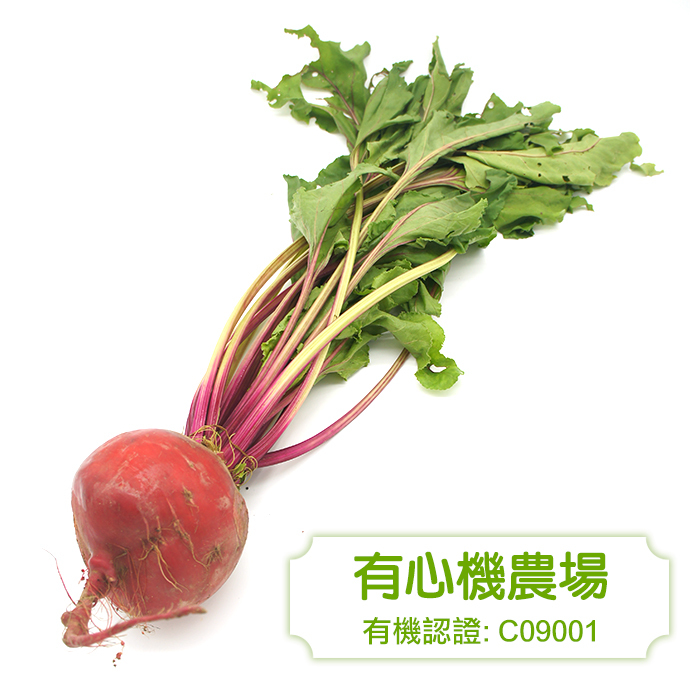 [有心機] 有機波板糖菜頭 1磅 (453g)